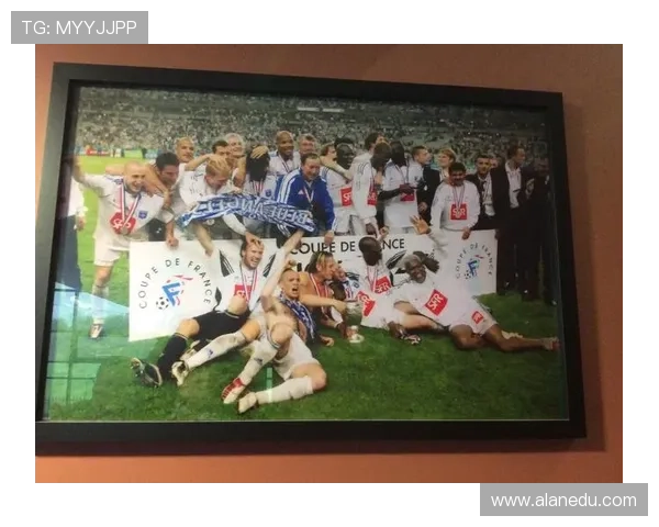 全球足球明星全景介绍与生平成就详解大全